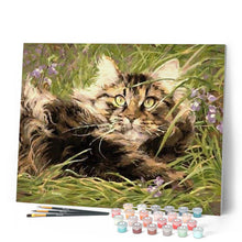 Afbeelding in Gallery-weergave laden, Schilderen op Nummer - Kat in het gras