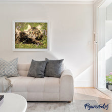Afbeelding in Gallery-weergave laden, Schilderen op Nummer - Kat in het gras