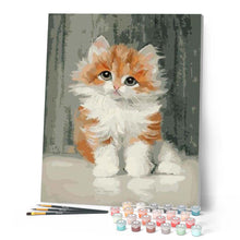 Afbeelding in Gallery-weergave laden, Schilderen op Nummer - Schattige kleine kat