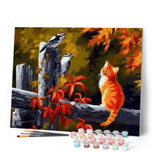 Afbeelding in Gallery-weergave laden, Schilderen op Nummer - Twee vogels en kat
