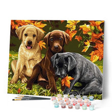 Afbeelding in Gallery-weergave laden, Schilderen op Nummer - Drie honden