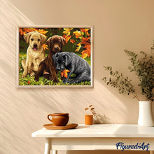 Afbeelding in Gallery-weergave laden, Schilderen op Nummer - Drie honden