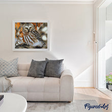 Afbeelding in Gallery-weergave laden, Schilderen op Nummer - Grijze Uil
