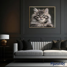 Afbeelding in Gallery-weergave laden, Schilderen op Nummer - Kleine kat