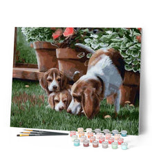 Afbeelding in Gallery-weergave laden, Schilderen op Nummer - Boom Honden