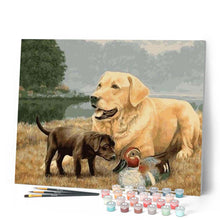 Afbeelding in Gallery-weergave laden, Schilderen op Nummer - Golden Retriever Hond