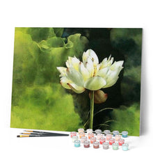 Afbeelding in Gallery-weergave laden, Schilderen op Nummer - Lotus aroma