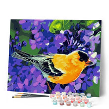 Afbeelding in Gallery-weergave laden, Schilderen op Nummer - Oranje vogel