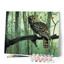 Afbeelding in Gallery-weergave laden, Schilderen op Nummer - Uil