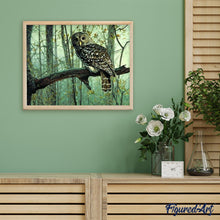 Afbeelding in Gallery-weergave laden, Schilderen op Nummer - Uil