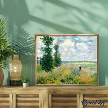 Afbeelding in Gallery-weergave laden, Schilderen op Nummer - Monet Veld met klaprozen