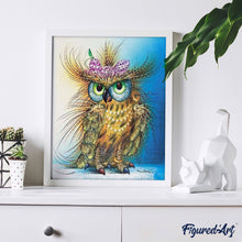 Afbeelding in Gallery-weergave laden, Schilderen op Nummer - Kleurrijke mooie uil