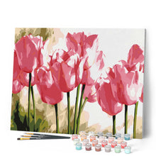 Afbeelding in Gallery-weergave laden, Schilderen op Nummer - Roze Tulpen