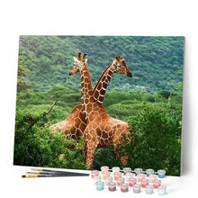 Afbeelding in Gallery-weergave laden, Schilderen op Nummer - Twee Giraffen