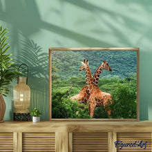 Afbeelding in Gallery-weergave laden, Schilderen op Nummer - Twee Giraffen