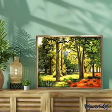 Afbeelding in Gallery-weergave laden, Schilderen op Nummer - Zonnig bos