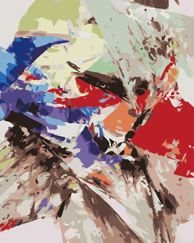 Schilderen op Nummer - Gekleurd abstract