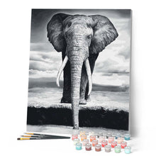 Afbeelding in Gallery-weergave laden, Schilderen op Nummer - Grijze Olifant