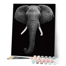 Afbeelding in Gallery-weergave laden, Schilderen op Nummer - Olifant wit en zwart