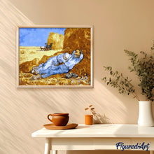 Afbeelding in Gallery-weergave laden, Schilderen op Nummer - Van Gogh Veld