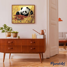 Afbeelding in Gallery-weergave laden, Schilderen op Nummer - Panda en vogel