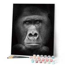 Afbeelding in Gallery-weergave laden, Schilderen op Nummer - Gorilla zwart-wit