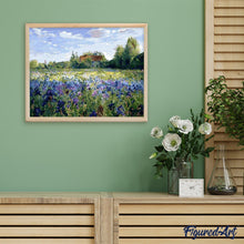 Afbeelding in Gallery-weergave laden, Schilderen op Nummer - Platteland veld en blauwe bloemen