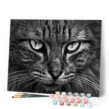 Afbeelding in Gallery-weergave laden, Schilderen op Nummer - Kattenkop