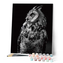 Afbeelding in Gallery-weergave laden, Schilderen op Nummer - Witte uil en zwart