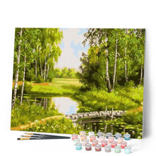 Afbeelding in Gallery-weergave laden, Schilderen op Nummer - Kleine vijver en groen landschap