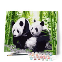 Afbeelding in Gallery-weergave laden, Schilderen op Nummer - Panda's in Japan