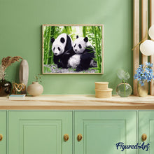 Afbeelding in Gallery-weergave laden, Schilderen op Nummer - Panda's in Japan