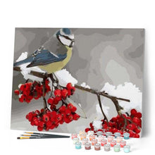 Afbeelding in Gallery-weergave laden, Schilderen op Nummer - Vogel en rood fruit