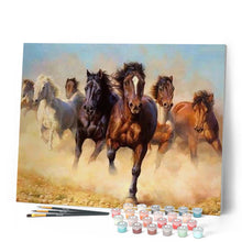 Afbeelding in Gallery-weergave laden, Schilderen op Nummer - Kudde paarden