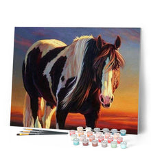 Afbeelding in Gallery-weergave laden, Schilderen op Nummer - Paard zwart en wit