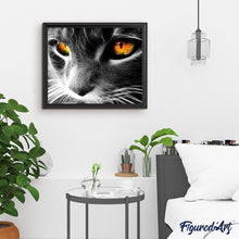 Afbeelding in Gallery-weergave laden, Schilderen op Nummer - Katten ogen
