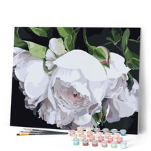 Afbeelding in Gallery-weergave laden, Schilderen op Nummer - Witte bloemen portret
