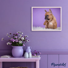 Afbeelding in Gallery-weergave laden, Schilderen op Nummer - Puppy