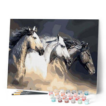 Afbeelding in Gallery-weergave laden, Schilderen op Nummer - Drie paarden