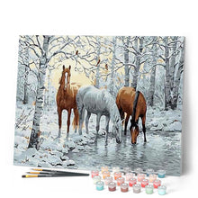 Afbeelding in Gallery-weergave laden, Schilderen op Nummer - Paarden in het Witte Woud