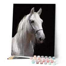 Afbeelding in Gallery-weergave laden, Schilderen op Nummer - Wit paard en zwarte achtergrond