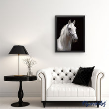 Afbeelding in Gallery-weergave laden, Schilderen op Nummer - Wit paard en zwarte achtergrond