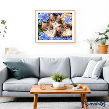 Afbeelding in Gallery-weergave laden, Schilderen op Nummer - De kattenfamilie
