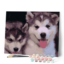 Afbeelding in Gallery-weergave laden, Schilderen op Nummer - Twee puppy's