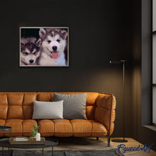 Afbeelding in Gallery-weergave laden, Schilderen op Nummer - Twee puppy's