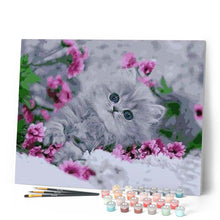 Afbeelding in Gallery-weergave laden, Schilderen op Nummer - Kitten in de bloemen