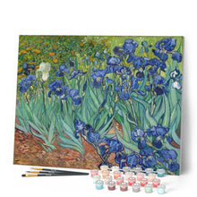 Afbeelding in Gallery-weergave laden, Schilderen op Nummer - Van Gogh Iris
