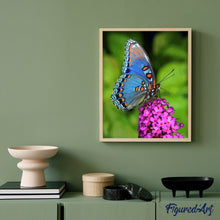 Afbeelding in Gallery-weergave laden, Schilderen op Nummer - Vlinder Bloemen
