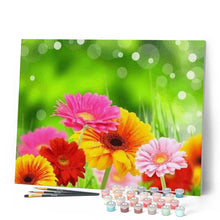 Afbeelding in Gallery-weergave laden, Schilderen op Nummer - Lente bloemen
