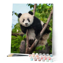 Afbeelding in Gallery-weergave laden, Schilderen op Nummer - Panda in boom